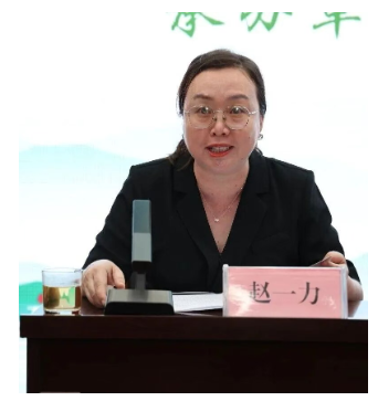 6a389650f3e36.png image.png